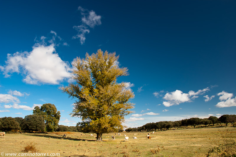../_images/dsc_4659.jpg