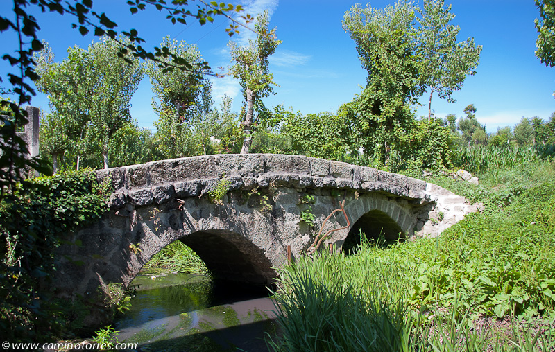 ../_images/dsc_4706.jpg