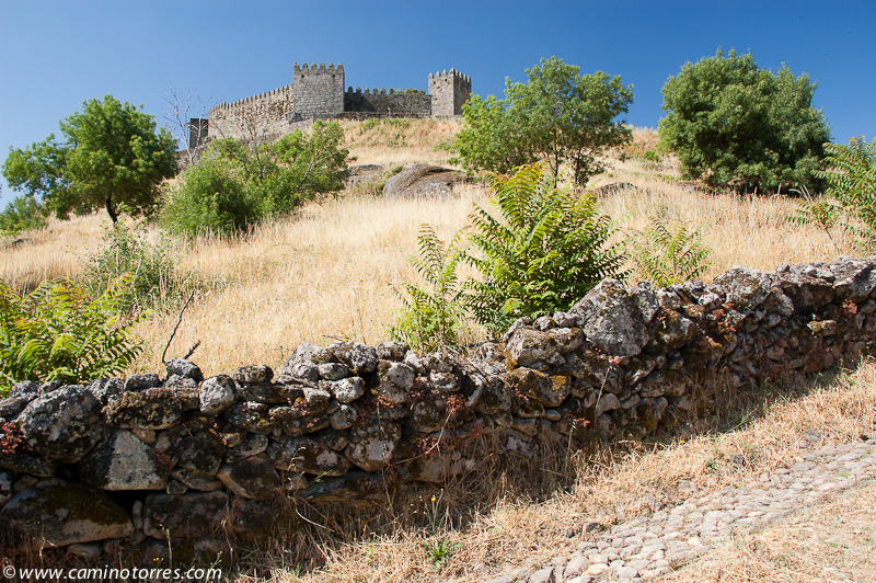../_images/dsc_7887.jpg