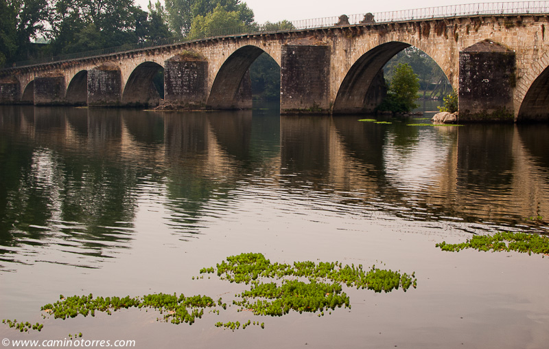 ../_images/dsc_9041.jpg