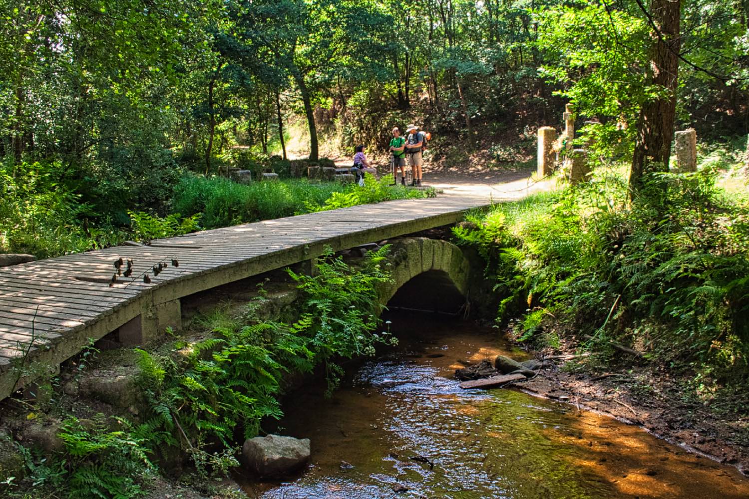 Ponte das Febres