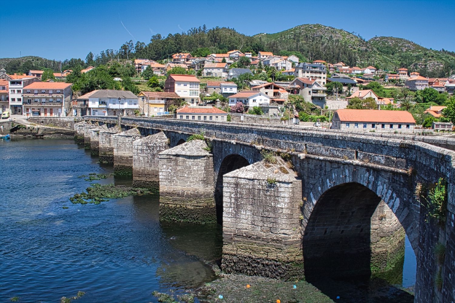 Ponte das Febres