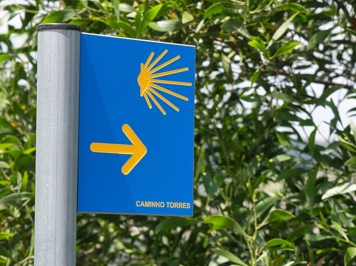 Señalización en Amarante